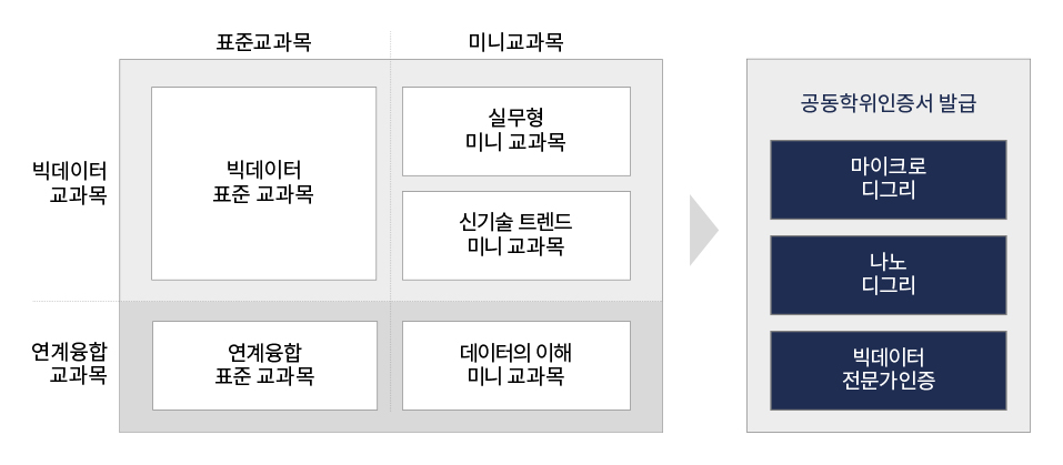 빅데이터 지역거점국립대학의 학위체계 이미지